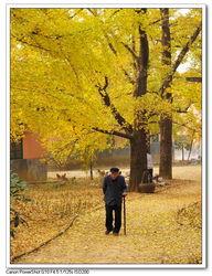 灿烂的季节,灿烂季节的岁月流转