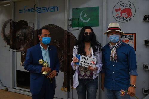 雪儿和最孤独的大象