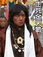 生死金天鹅,传奇天鹅的悲壮传奇